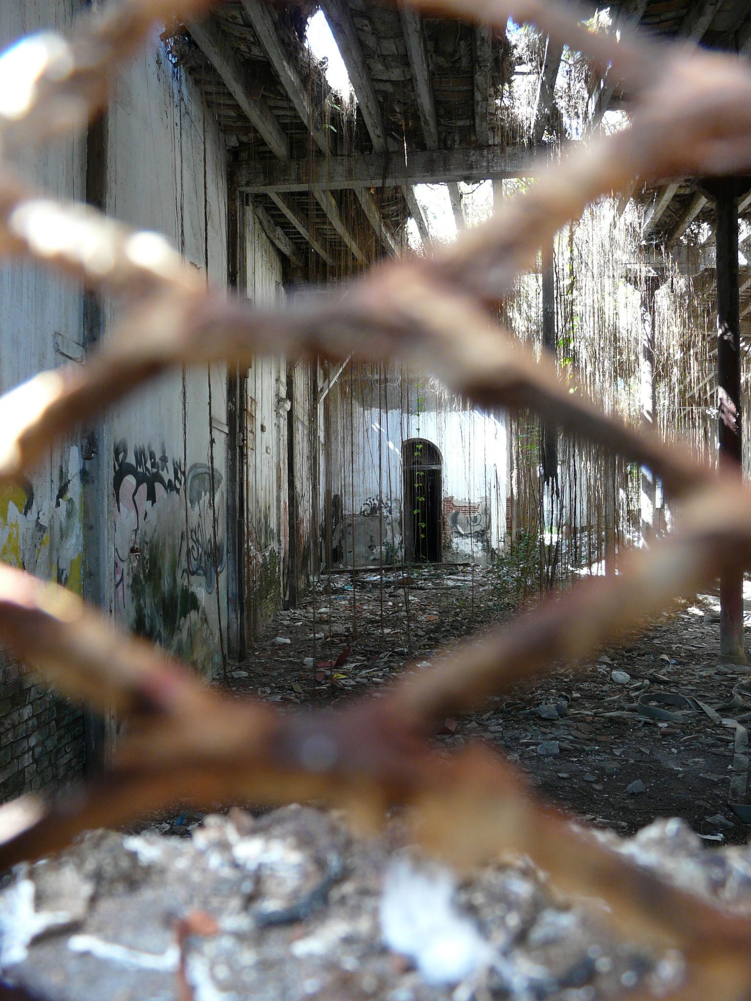 Edificio abandonado en la Avenida González Clemente - Ponce - 2012 00020